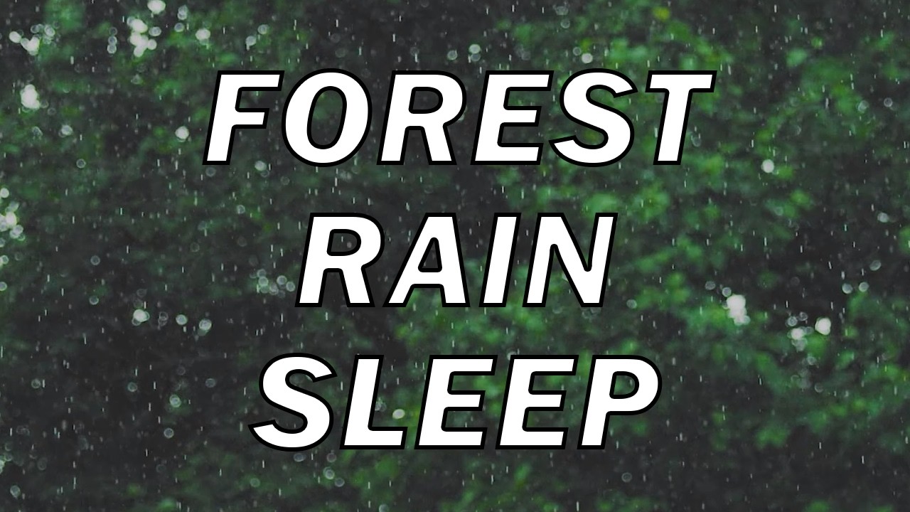 Forest Rain Sounds for Deep Sleep 🌧️ 2 Hour Relaxing Nature ASMR