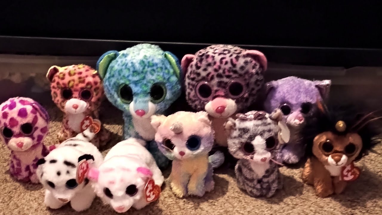 My Beanie Boo Collection of 2025