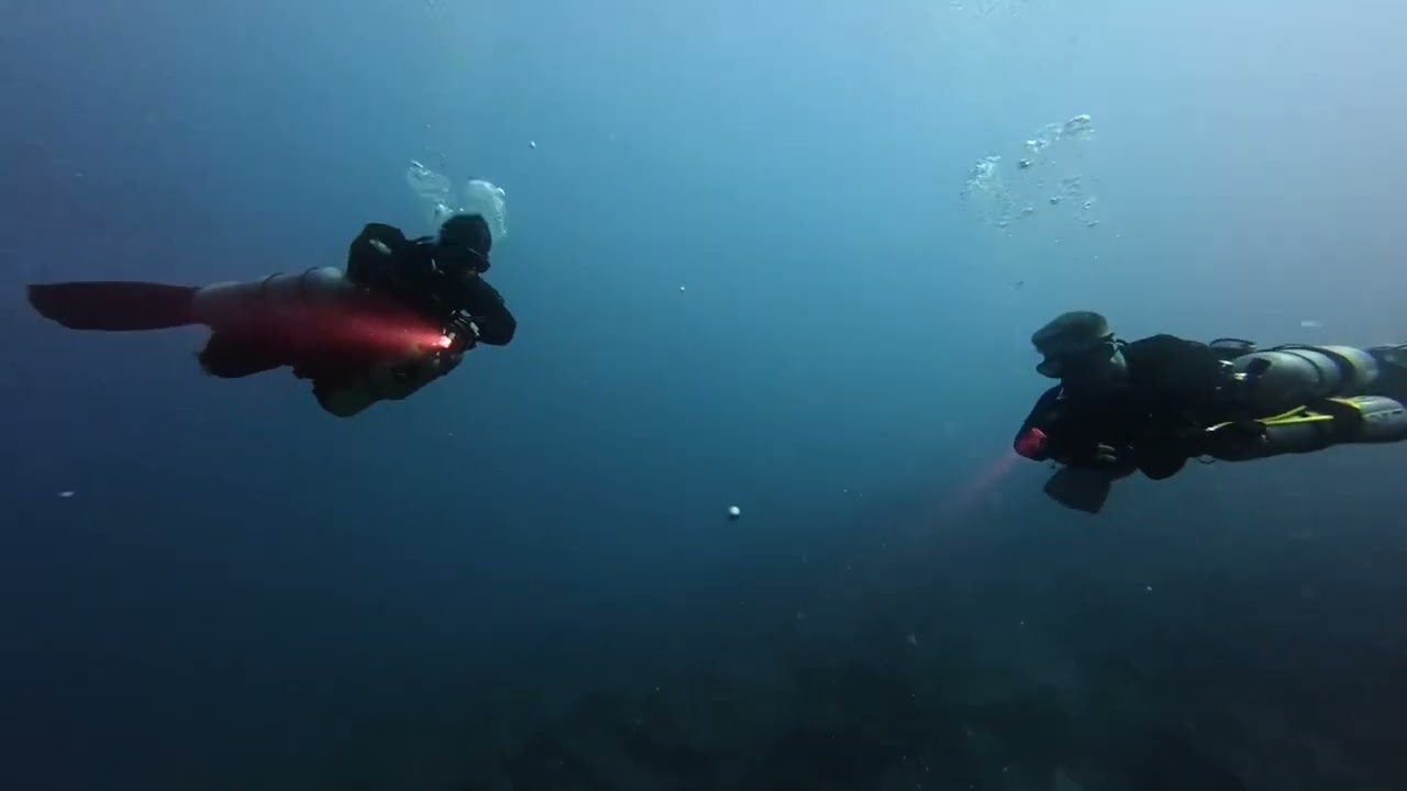 @takedive TDI DP Course 