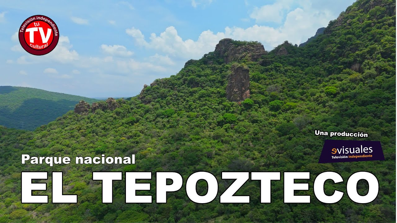 ¿Sabías que el #Tepozteco esconde un paraíso natural?