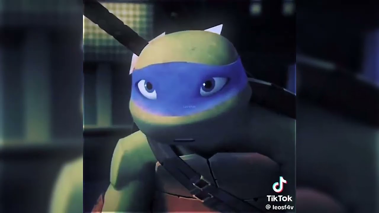 TMNT edits because they make me wanna live in a sewer 🐢