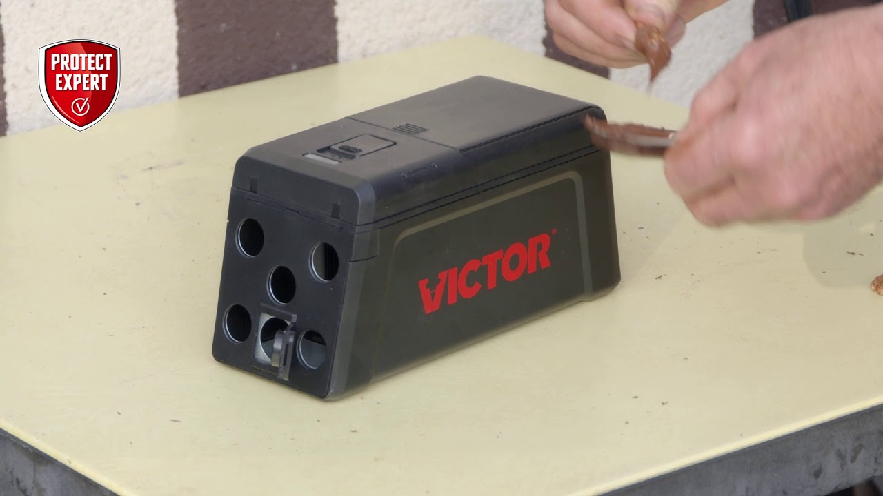 Pi&egrave;ge &agrave; rat &eacute;lectronique Victor Rasoutrap - Protect Expert