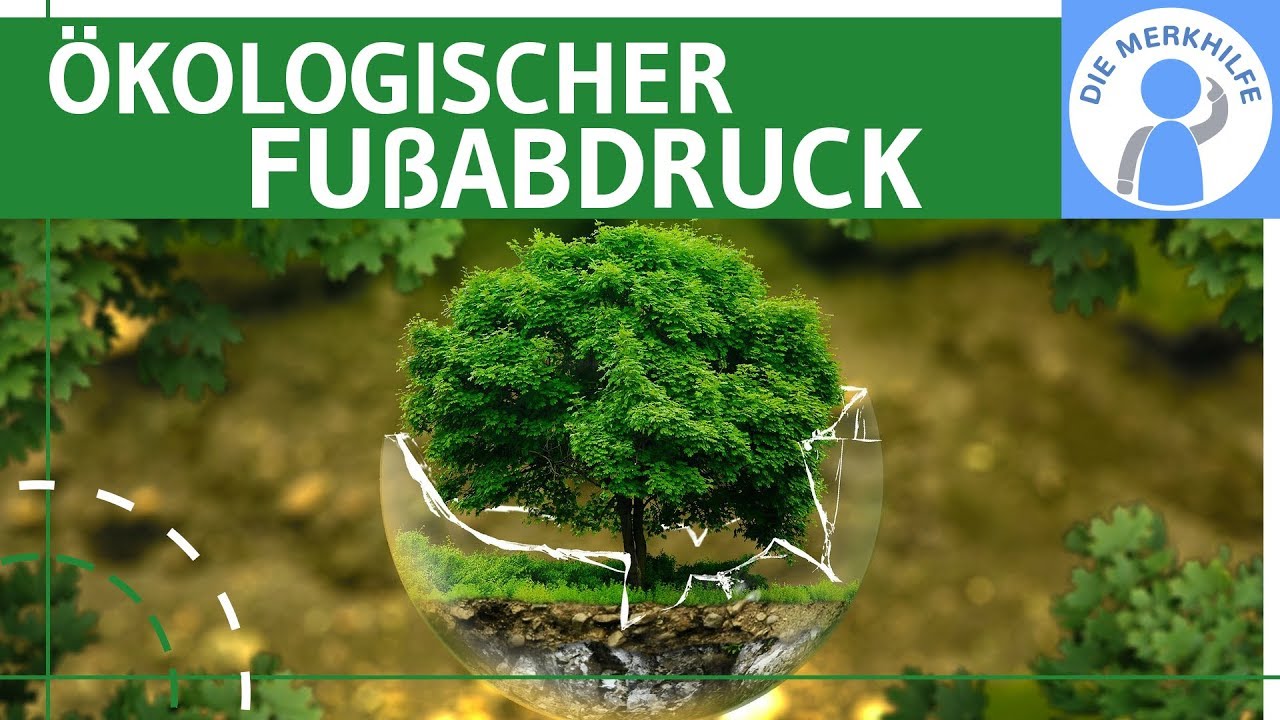 Ökologischer Fußabdruck einfach erklärt - Begriff, Berechnung, Beispiel & Kritik - Ökologie