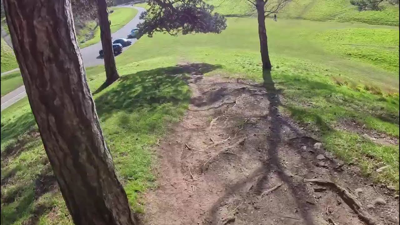 Beginner trail running route Dublin (Phoenix Park)