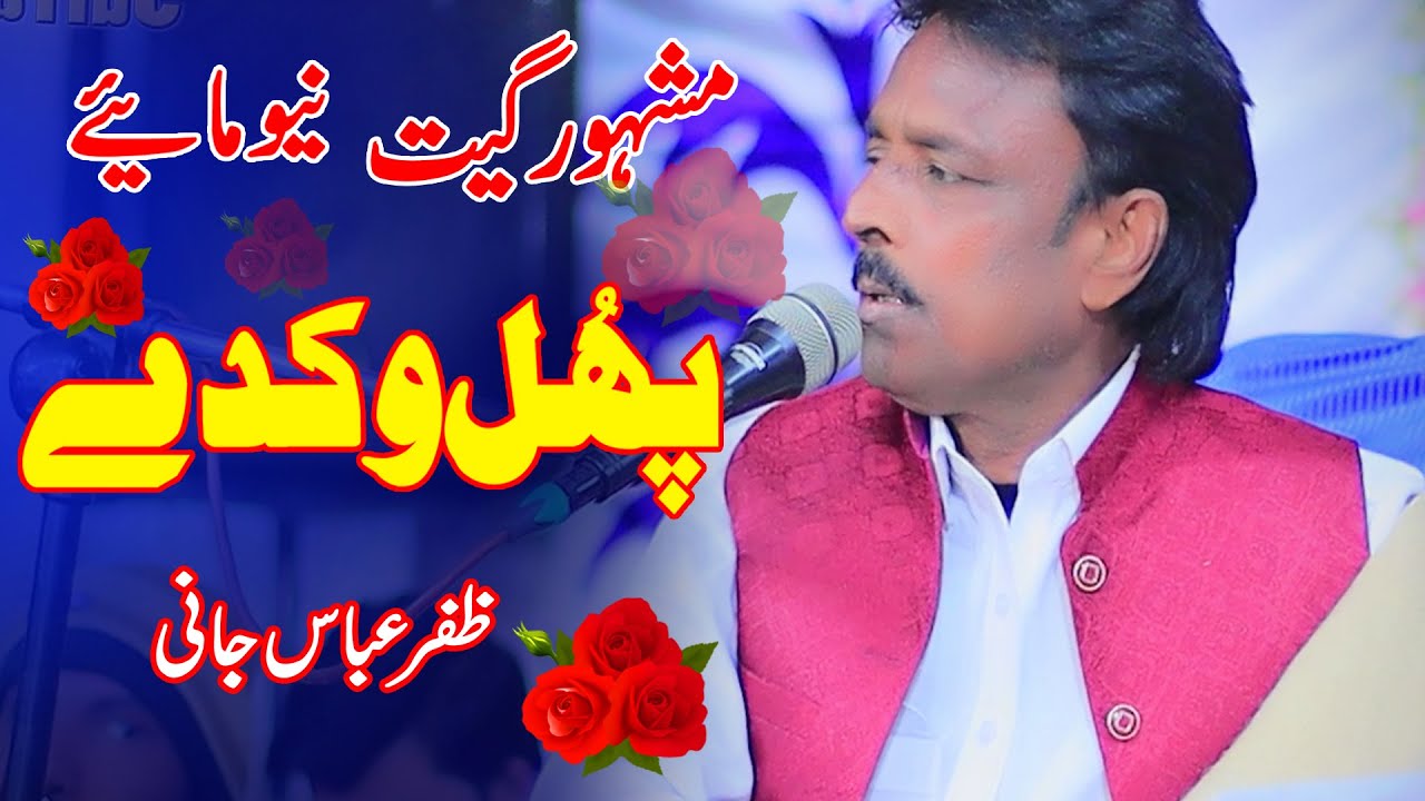 Phool Wikday | Zafar Abbas Jani | Live Show Viral Song 2025 | Nadeem Sound Bhera
