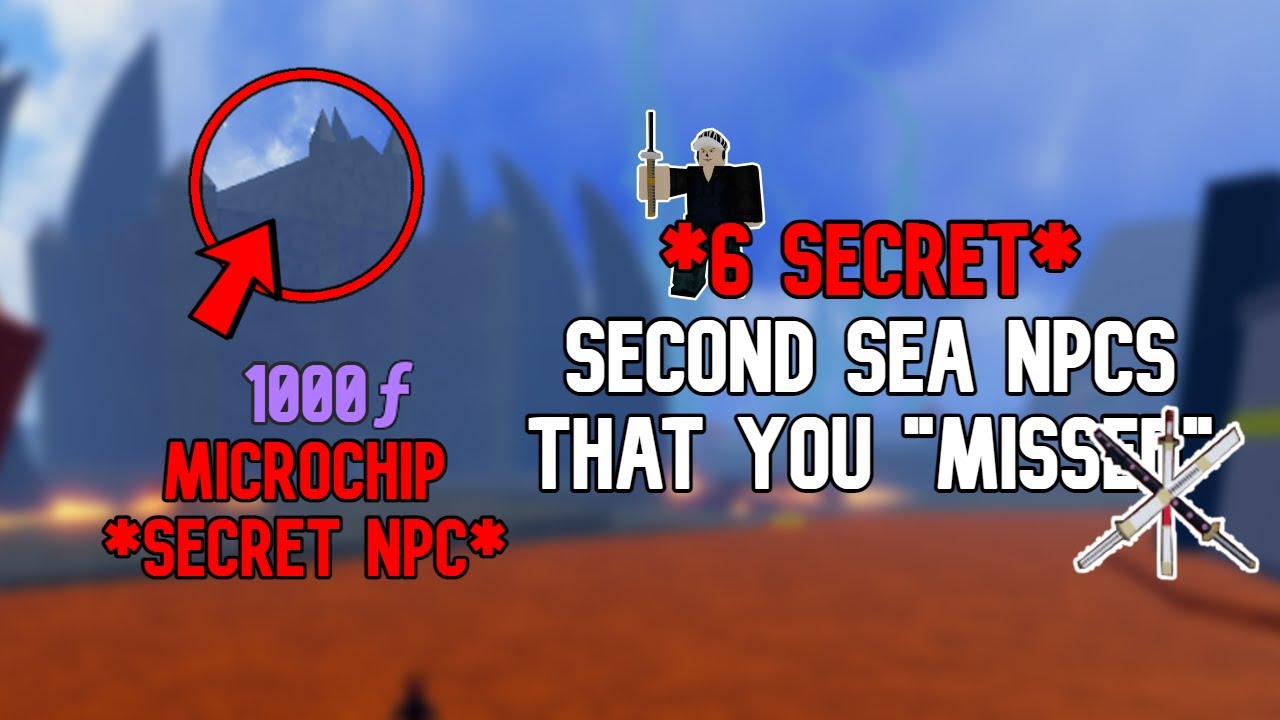 6 Secret NPCS That You Have 