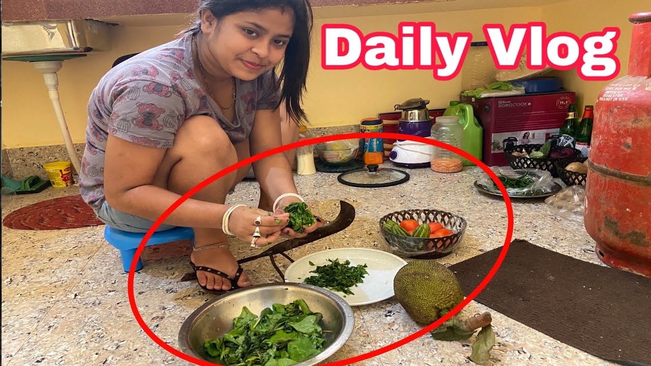 Daily Vlog Bangla vlog Part 1