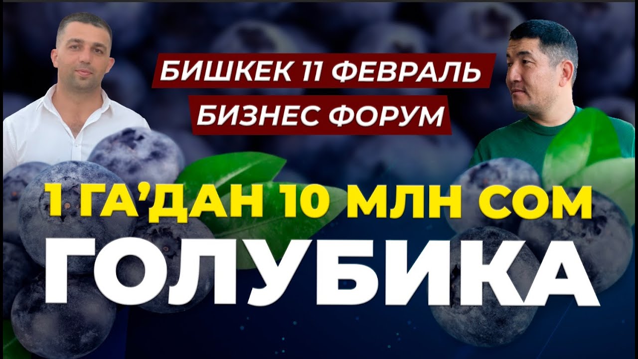 Жалкоолор үчүн эң жакшы бизнес экен! ;))