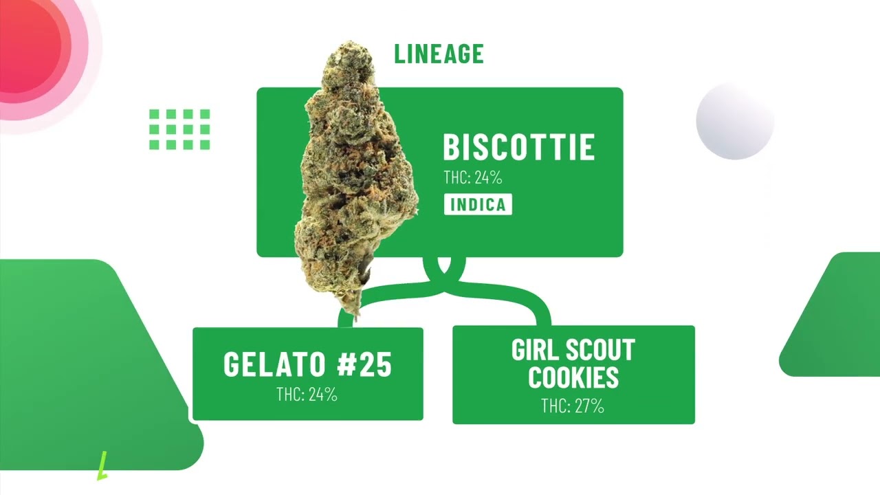 Biscottie - Herb Approach