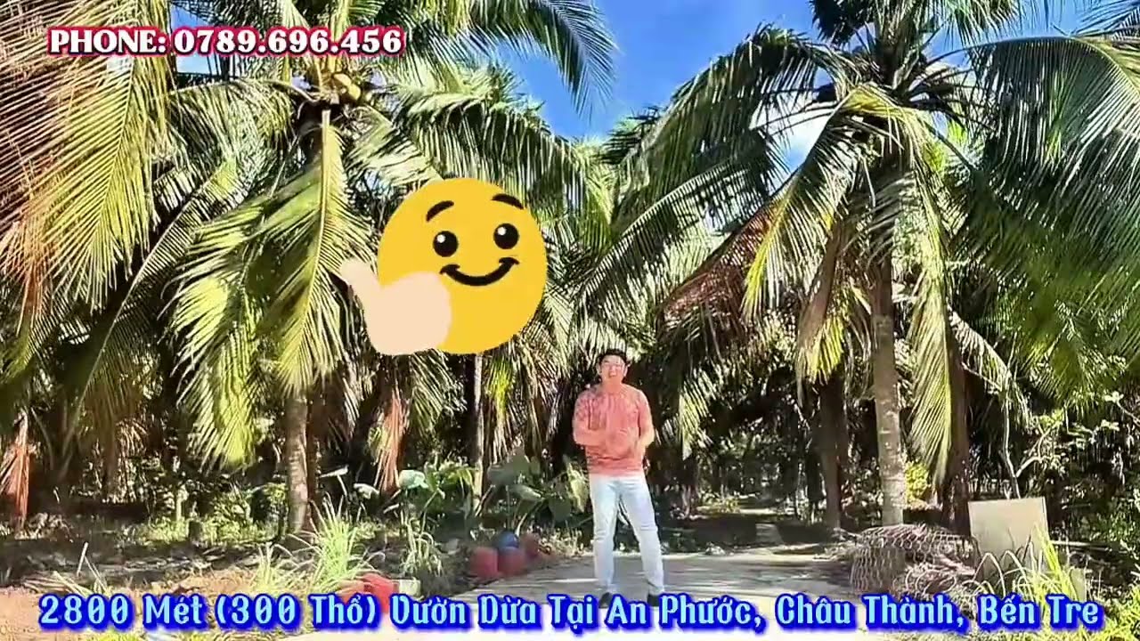 Vườn dừa 2800 mét có 300 mét thổ tại an Phước, châu thành, bến tre #landbentre #batdongsanbentre