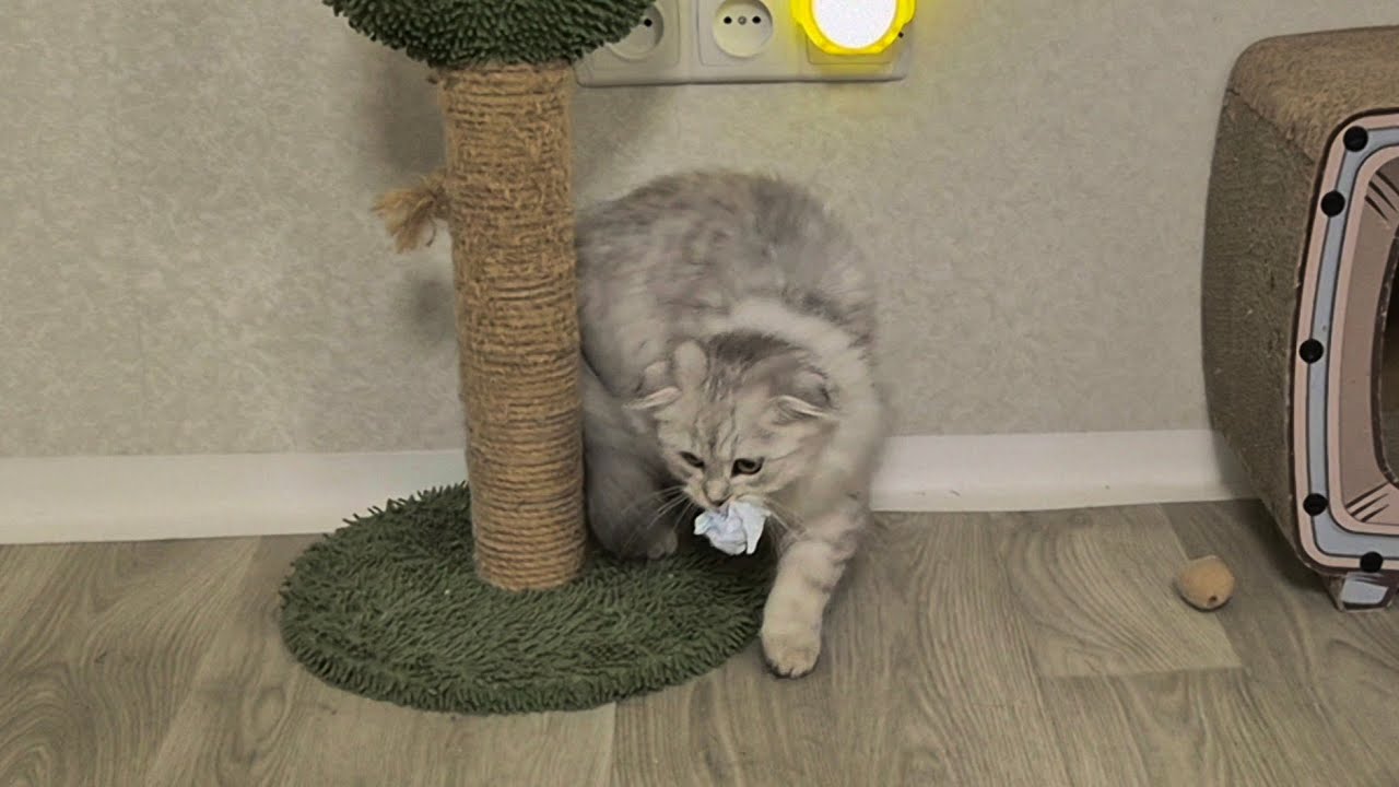 Читаем ваши комментарии 😊