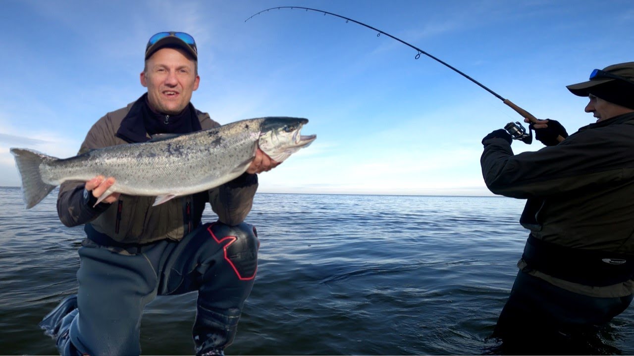 Havørredfiskeri | Den Store Overspringer | Vinteren´s Sande Trofæ Fisk