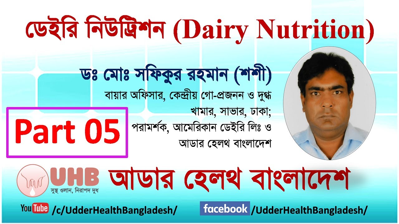 খড় কি গাভীর পুষ্টি চাহিদা পূরণ করতে  পারে? - ডেইরি বিশেষজ্ঞদের মতামত।(Dairy Nutrition-Part 05)