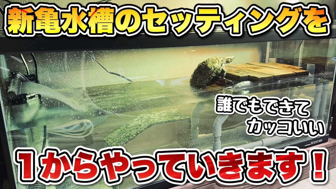 【クサガメ】亀水槽のセッティングを１から解説！陸地、フィルター、ヒーターの設置、これで誰でも亀飼育が始められます！【コトブキ９００ワイド】
