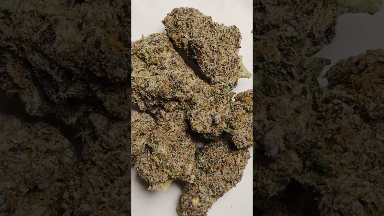 🔥White Gummies 🔥 Cannabis strain review/W Dr. Greenbody