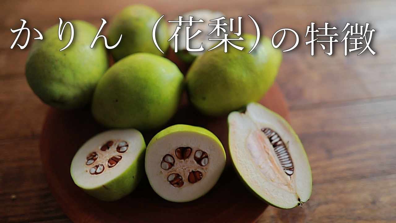 【レア食材】かりんの特徴を解説！