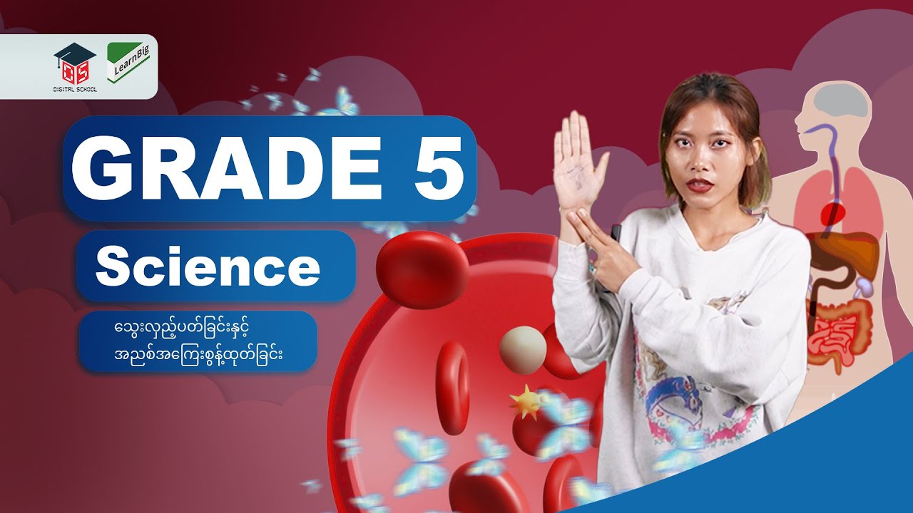 G-5-SC-2-အခန်း(၂) သွေးလှည့်ပတ်ခြင်းနှင့်အညစ်အကြေးစွန့်ထုတ်ခြင်း