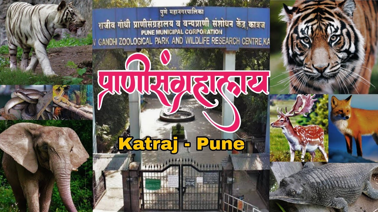  प्राणिसंग्रहालय कात्रज | Rajiv Gandhi Zoological Park Pune | Katraj Zoo