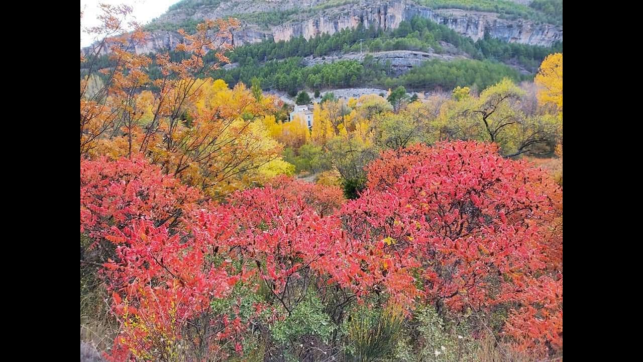 OTOÑO 2023 EN CUENCA