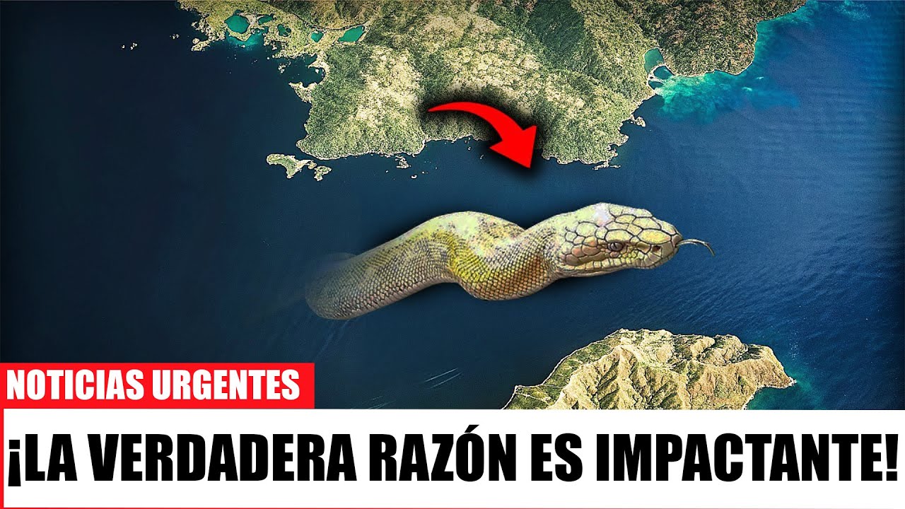¡El secreto submarino que hace IMPOSIBLE un puente entre Europa y África!