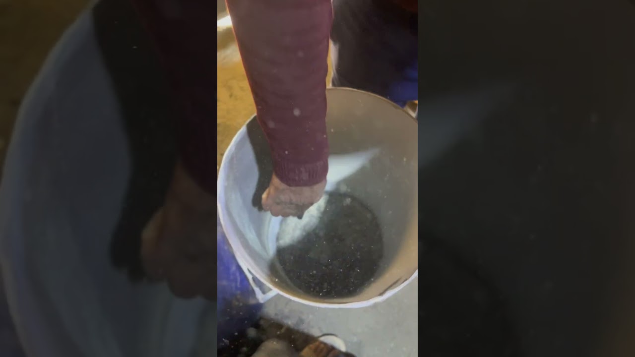 سبك واستخلاص الذهب من الفحم عيار 24