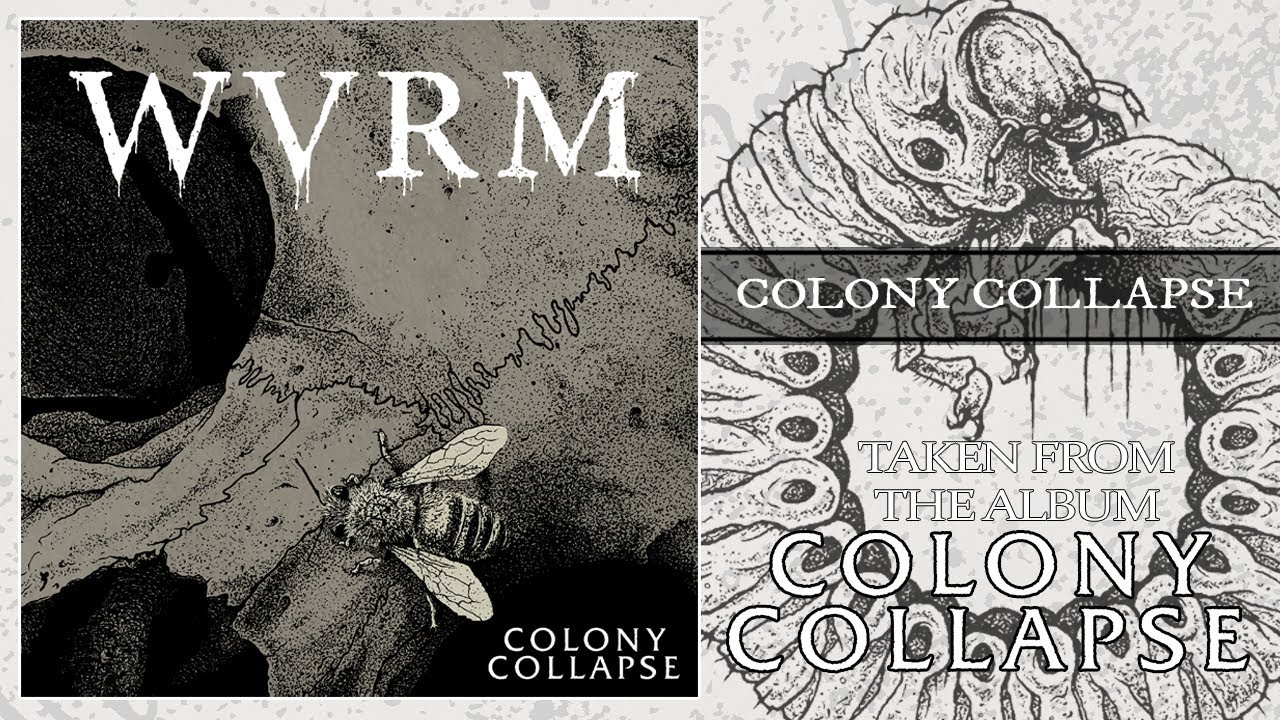 WVRM - COLONY COLLAPSE (FULL ALBUM STREAM)