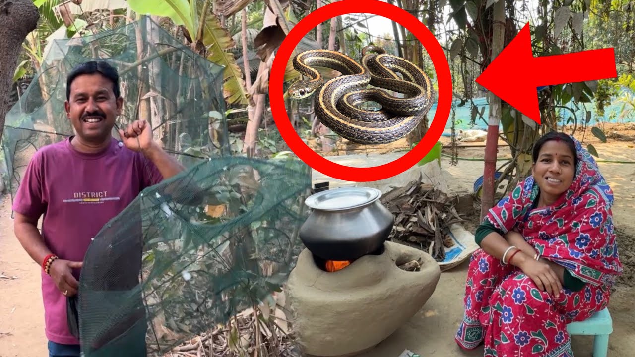 মাছ ধরতে গিয়ে সাপ ধরে ফেললাম 😀 ||