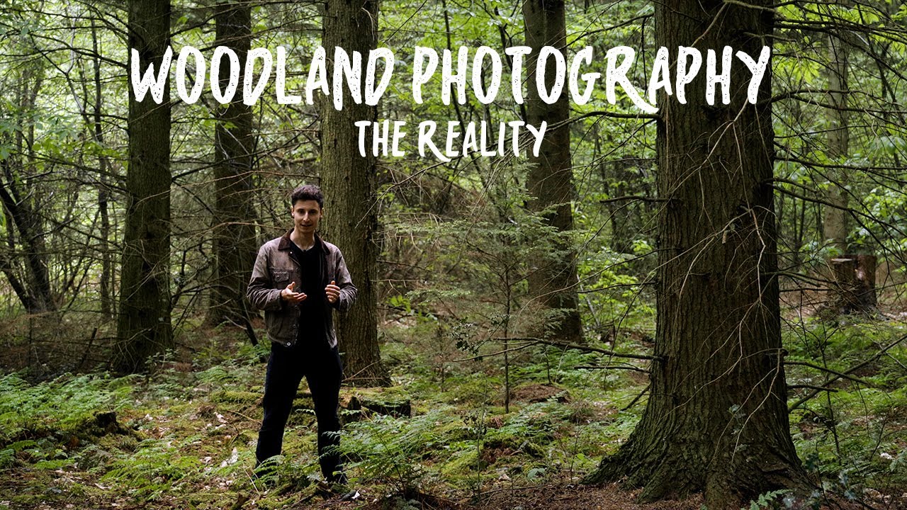 Woodland Photography: The Reality
