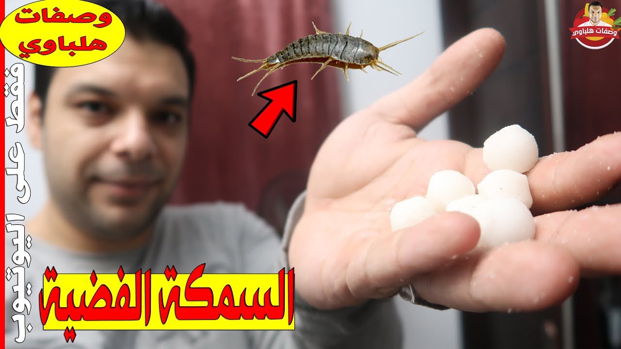 القضاء على حشرة السمكة الفضية أو العتة تماما مع هذه الخلطة
