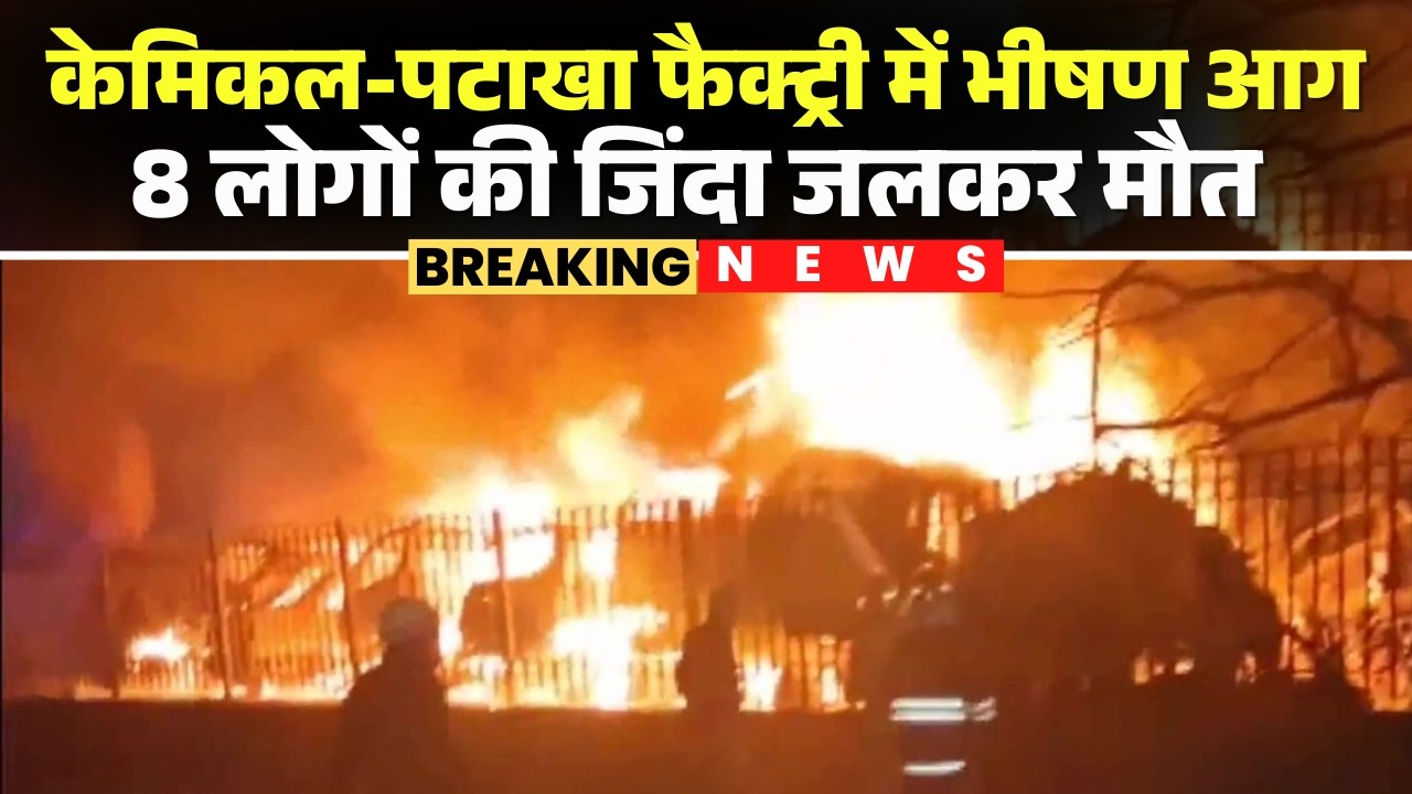 Bhiwadi Fire News : केमिकल-पटाखा फैक्ट्री में भीषण आग | 8 लोगों की जिंदा जलकर मौत | Rajasthan News