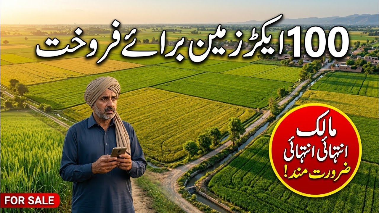 100-Acre Agriculture Land For sale in Punjab, Pakistan// cheap price Land For sale in Punjab