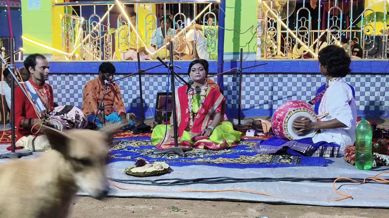 পানাগর হারিবাসর #song #viral #love #video #video #shortvideo #videoshort #viralmusic 