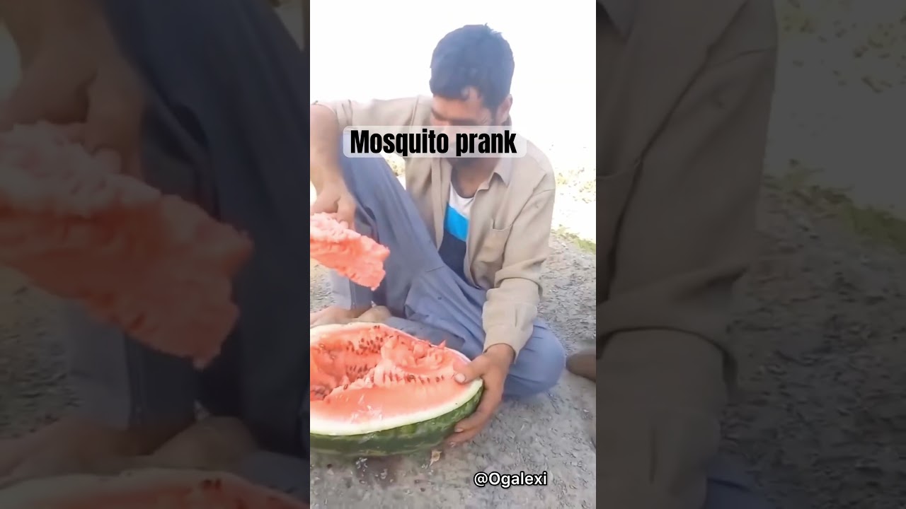 Mosquito prank #shortvideos  #prank #prankkids #prankcam #funnyreel #foryou #funpost #funnypost
