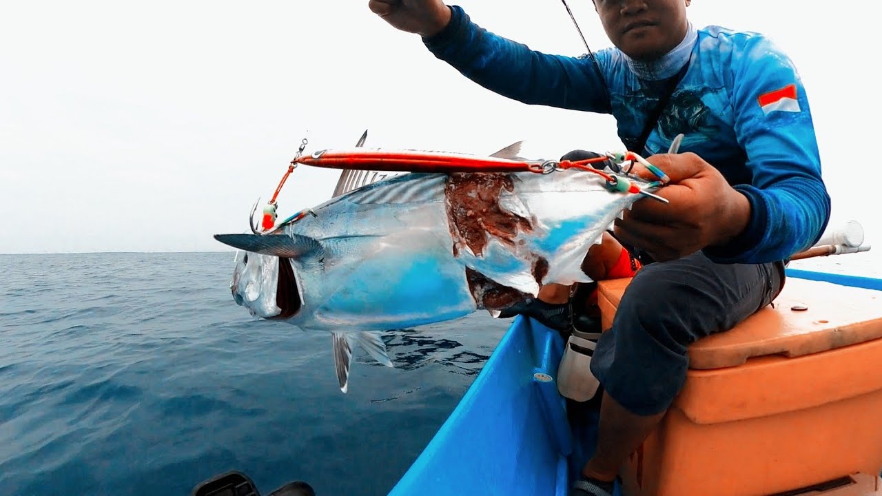 Gerakan Joran Jigging di Laut metal jig 200 dan 100 gr kemudian Strike