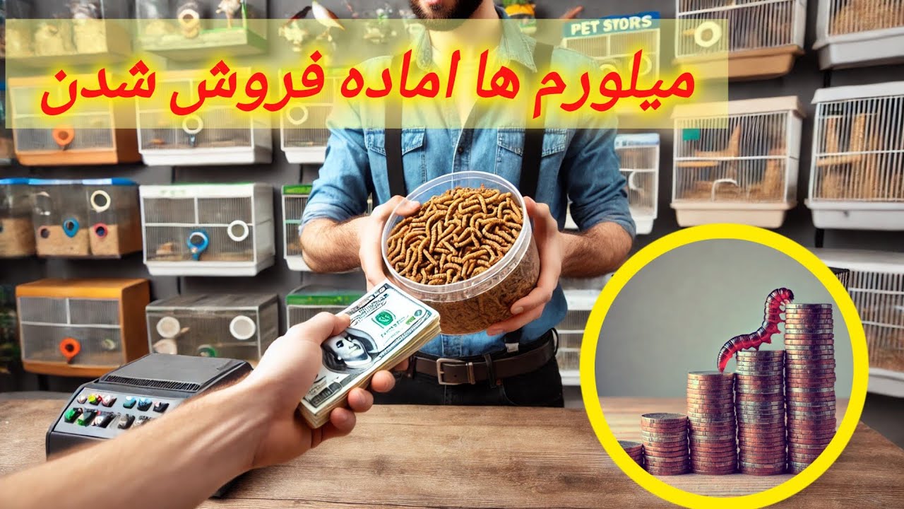 میلورم اماده فروش شد؛فروش یا گسترش تولید.؟