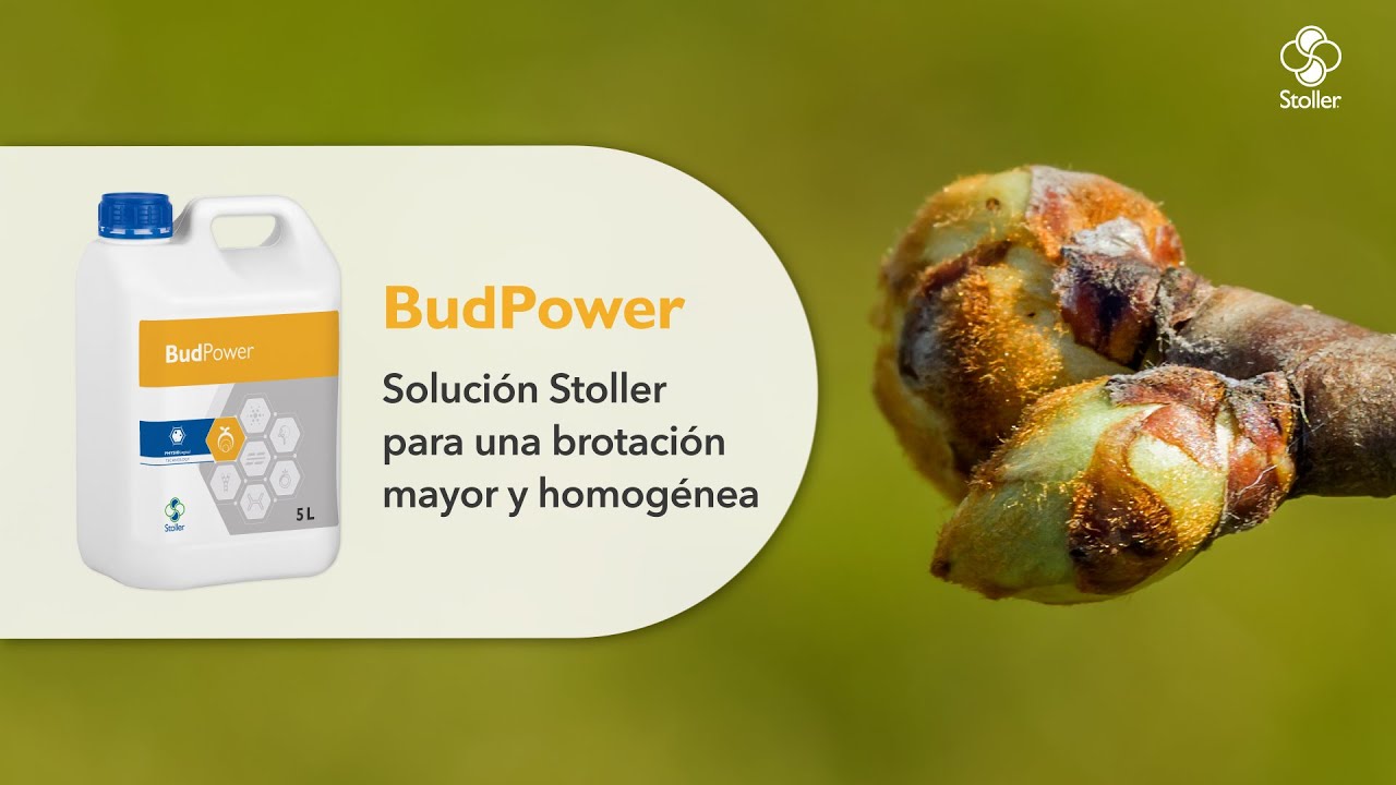 BudPower | Consigue una brotaci&oacute;n mayor y homog&eacute;nea