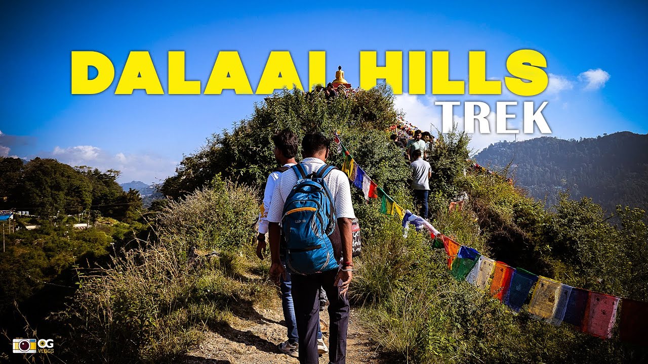 Exploring Lama Top, Dalai Hills | Peaceful Mussoorie Trek in Perfect Weather!