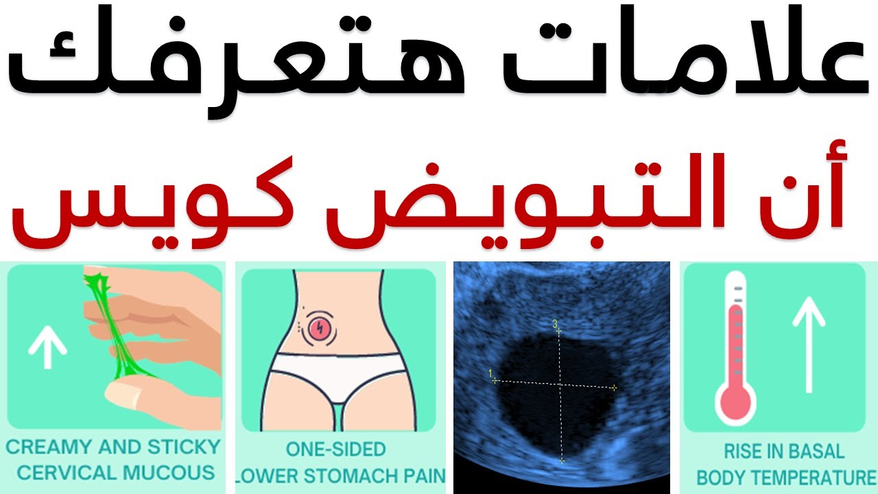 كيف اعرف ان التبويض عندي سليم | أدق العلامات اللي هتعرفك أنه تبويضك كويس