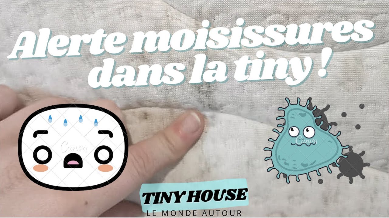 Moisissures dans la tiny house et sommier minimaliste !