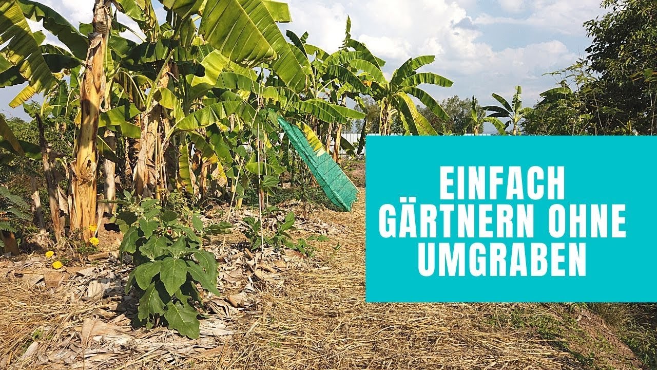 Lasagne Garten anlegen I Gemüsegarten einfach angelegt