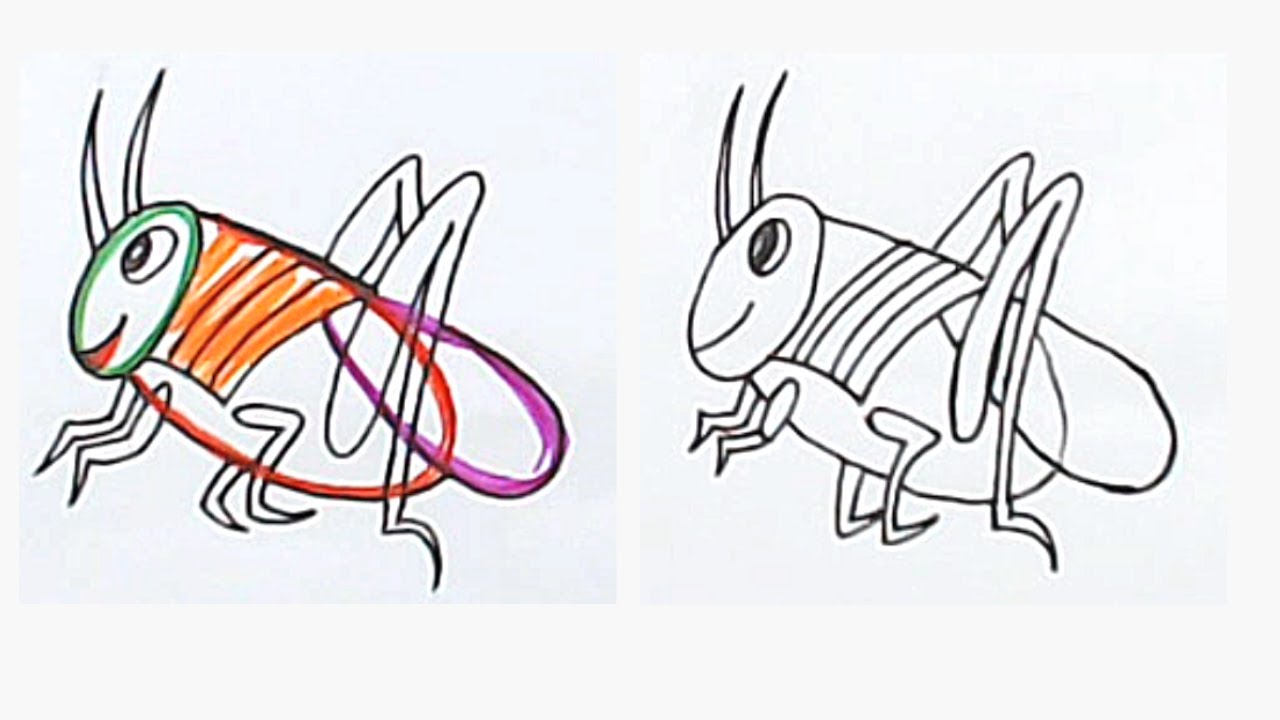 COMO DESENHAR GRILO FÁCIL [DESENHO PASSO A PASSO COM ESBOÇO]