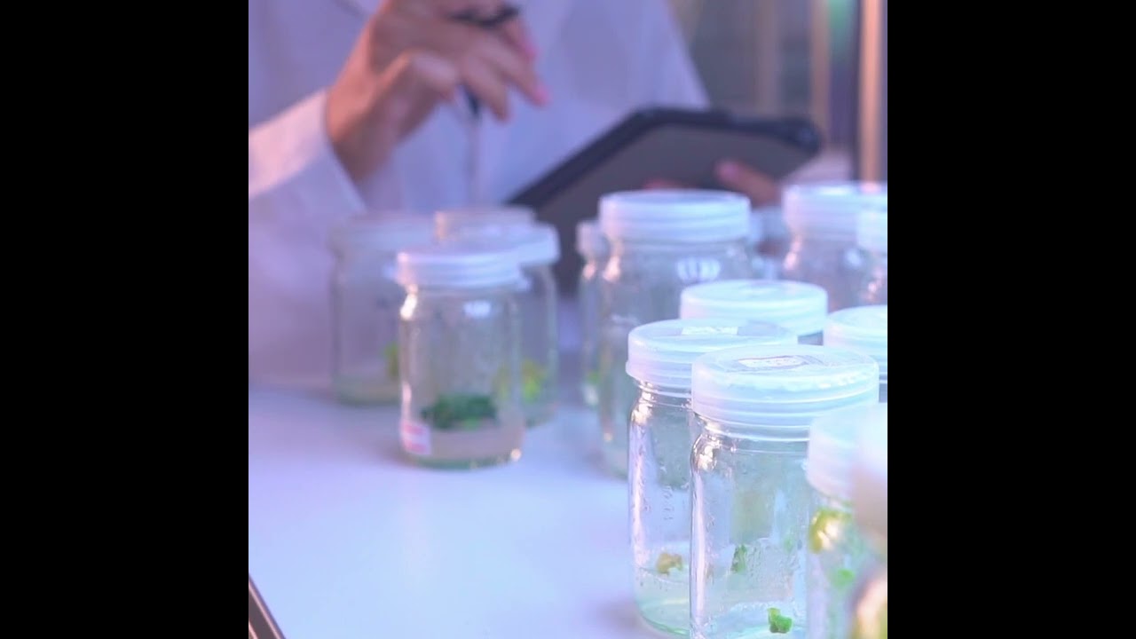 new product arrival Starter kit for plant tissue culture