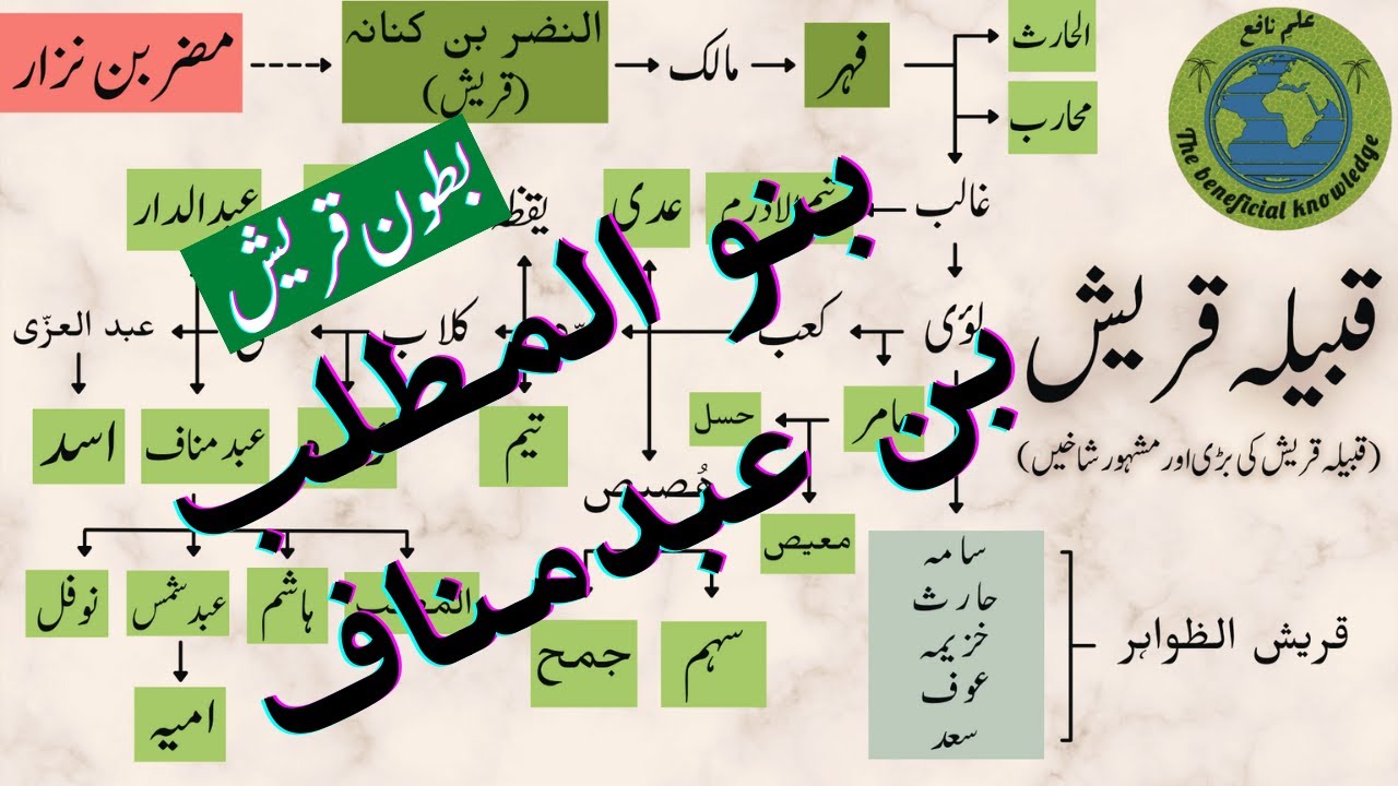 قبیلہ بنو المطلب بن عبد مناف | بطون قریش