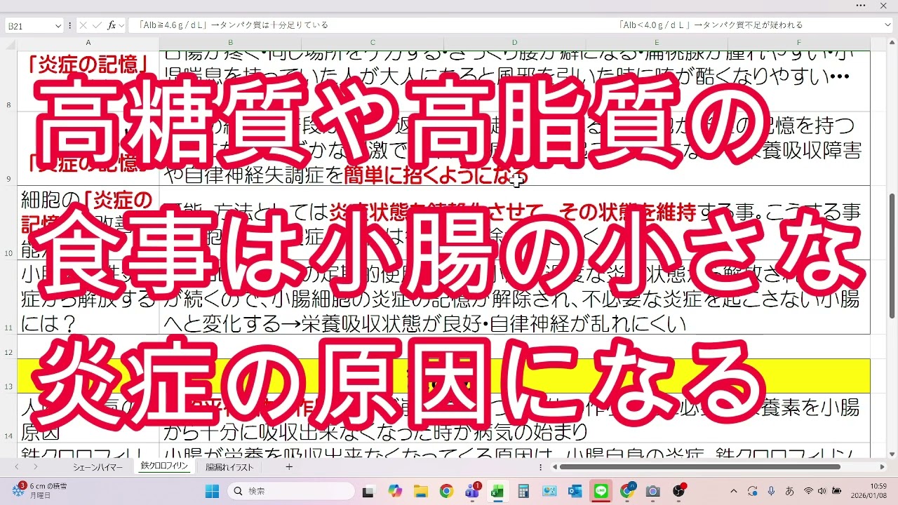 動的平行と鉄クロロフィリン②