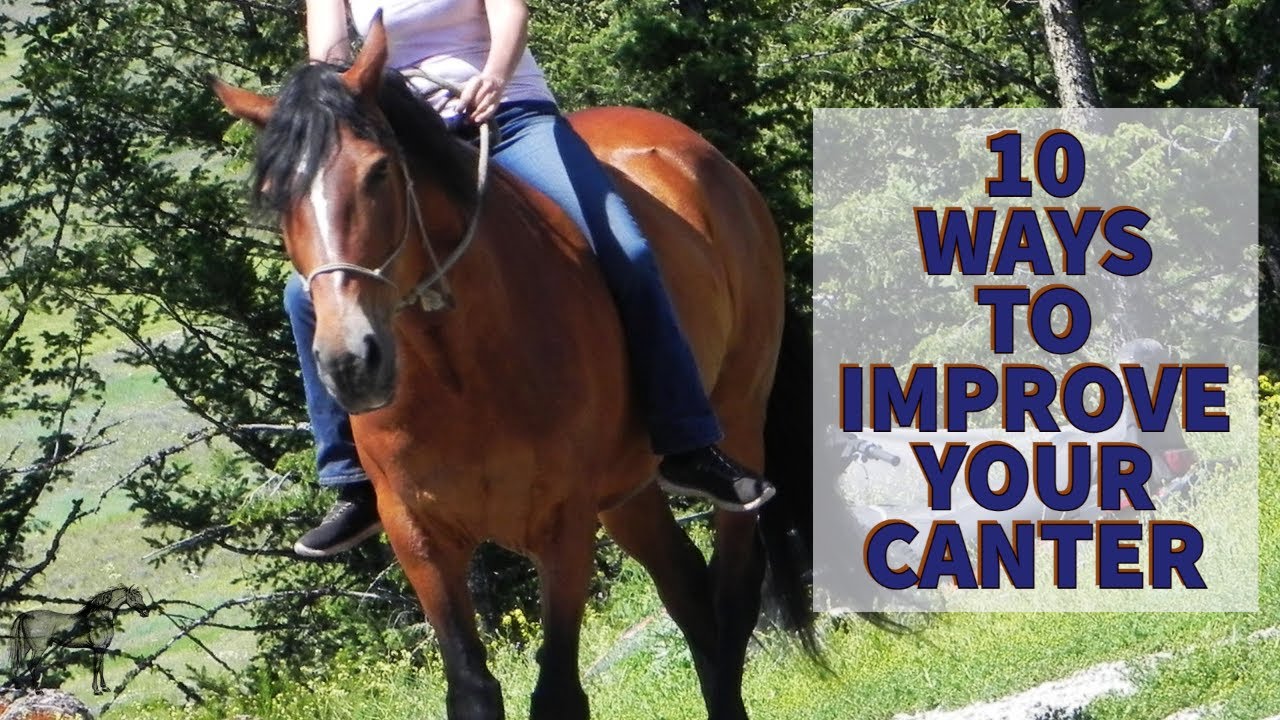 RIDING TIPS THAT WILL IMPROVE YOUR CANTER