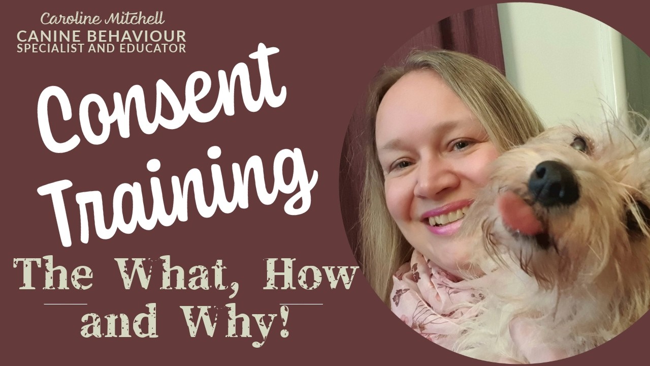 Consent Training: Build trust, minimise frustration, and reduce anxiety through consent