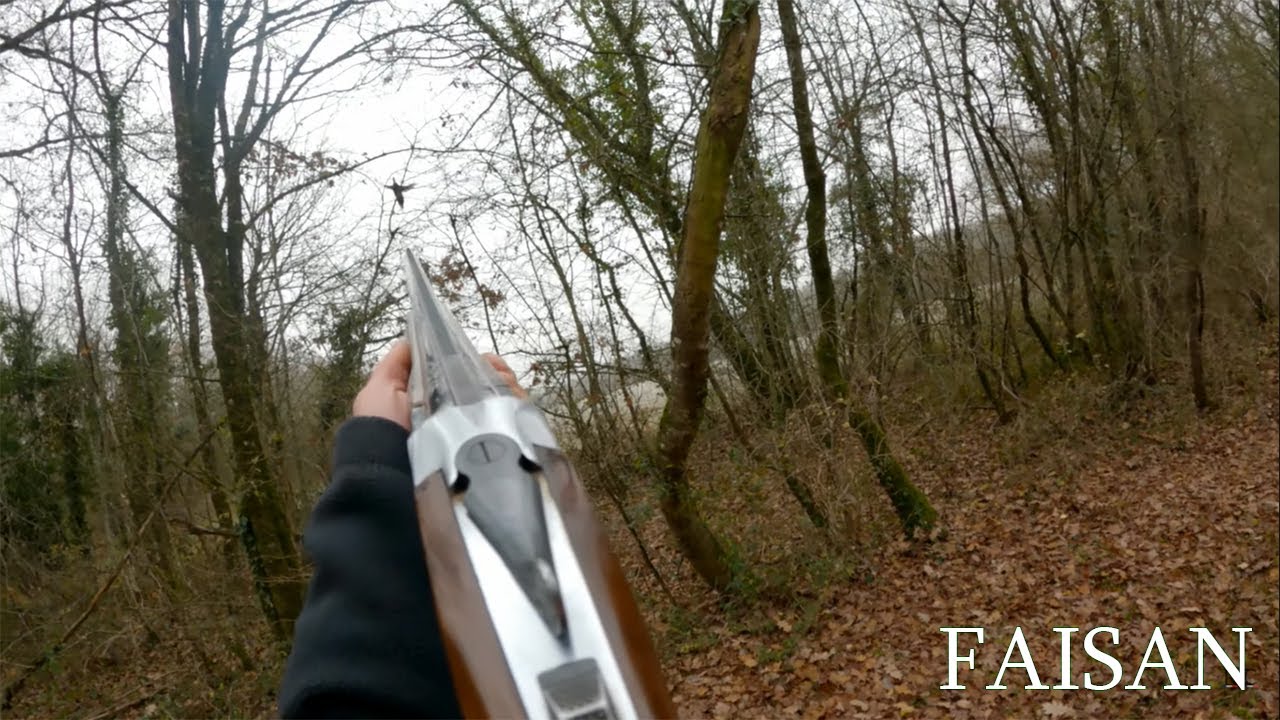 Chasse aux faisans - Saison 2021-2022