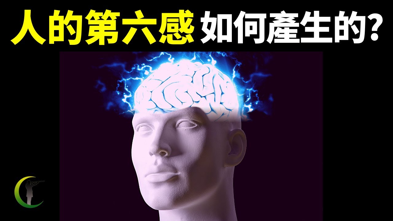 人們神秘的第六感如何產生的?它真的能預知未來嗎?| 天天觀世界(探秘,心靈感應,未解之謎,物理學,科普,超心理學,超能力,荷西西瓦,透視)