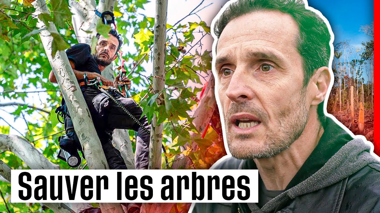 Militants pour les arbres
