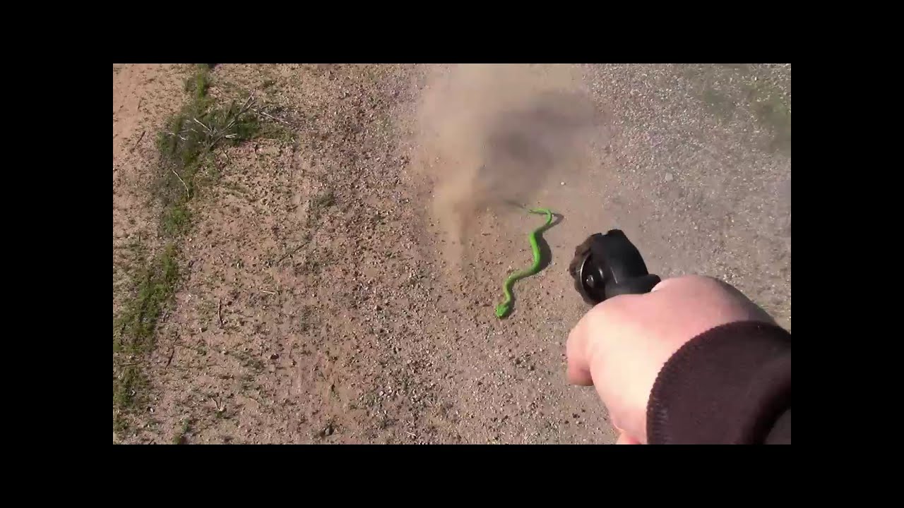 Ruger LCR .22 LR VS Snake.